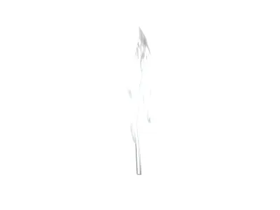 Feathers v1 011 Low-poly 3D model