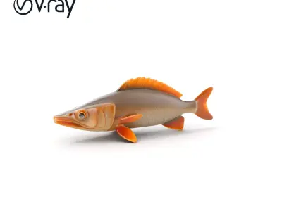 Realistic Fish Model Pack for Animation and Rendering Low-poly 3D model
