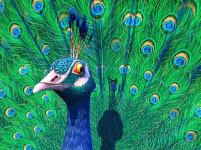 Peacock bird Low-poly 3D model