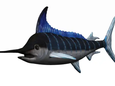 Merlin swordfish Low-poly 3D model