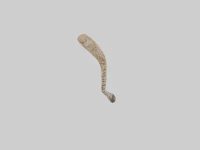 Cheetah Tail 3D model