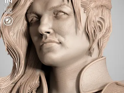 STAR WARS Care Dune Portrait Bust  3D print model purchase