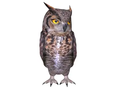 Horned owl Low-poly 3D model