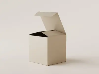 Packaging Box Low-poly 3D model