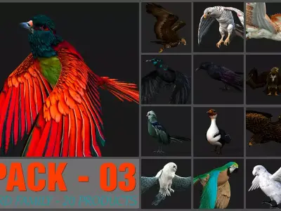 Pack 03 Bird Family Free low-poly 3D model