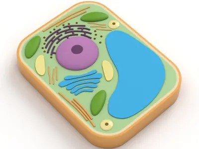 Plant Cell v2 3D model