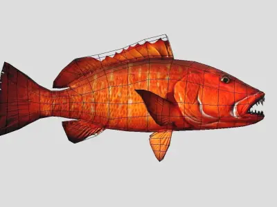 Cubera Snapper Realistic Animated Low-poly 3D model