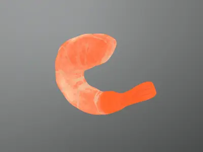 Shrimp clay sculpture 3D model