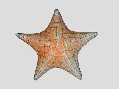 Starfish Low-poly 3D model 2