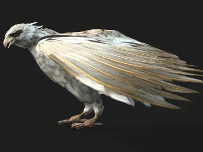 Eagle A2 3D model