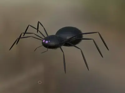 spider 3D model 30