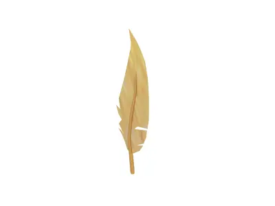 Feathers v1 010 Low-poly 3D model