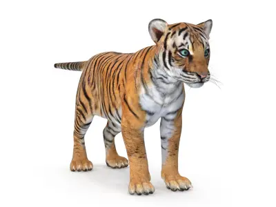 Tiger Cub 3D model