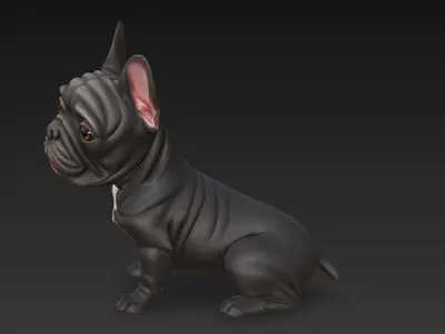 French Bulldog Dog Realistic 3D Model - Low Poly Realistic Low-poly 3D model