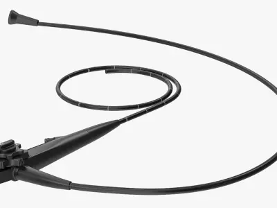 Endoscope 3D model