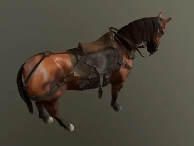 Medieval Horse 3D model