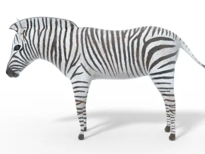 Zebra 3D Model Low-poly 3D model