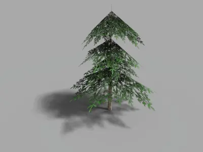 low poly small spruce Low-poly 3D model