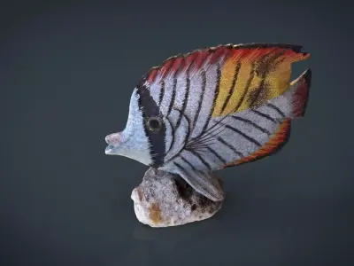 Decorative Fish 3D model