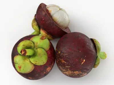 Mangosteen Fruit 3D model