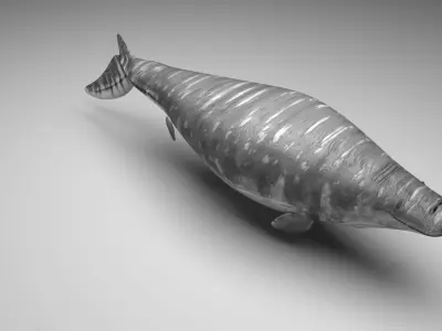 Mosasaurus 3D model purchase