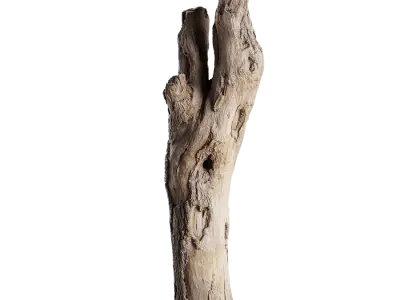  Tall Cut Deciduous Stump Model 