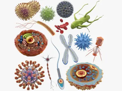 Microscopic Collection 14 in 1 3D model