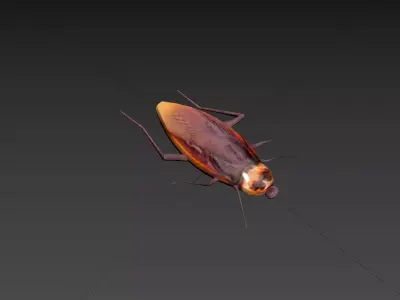 Insect cockroach Free low-poly 3D model