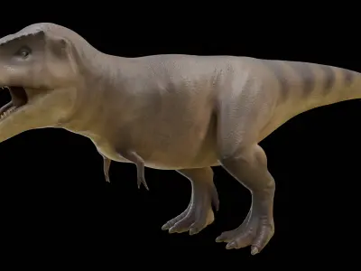 Tyrannosaurus Rex Walk  Body  Eyes Only No MusclesScene Low-poly 3D model