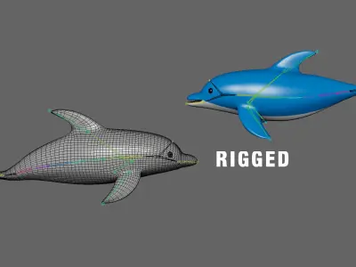 Low Poly - Cartoon Dolphin 2 Rigged  Low-poly 3D model