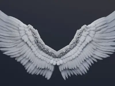 Stylized Angel Feather Wings 3D model