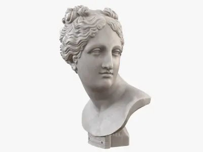  Italica Venus Bust 
