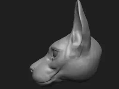 high poly cat head model  3D model