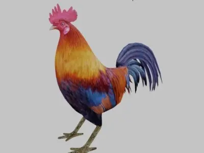 Rooster colorful Low-poly 3D model