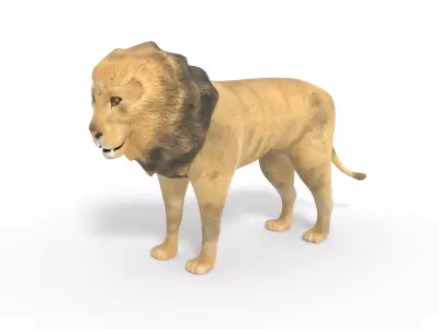 3D Lion Model Low-poly 3D model