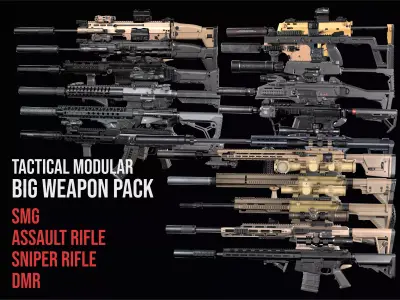 Assault rifles SMG Sniper Rifles DMR  BIG weapon gun pack
