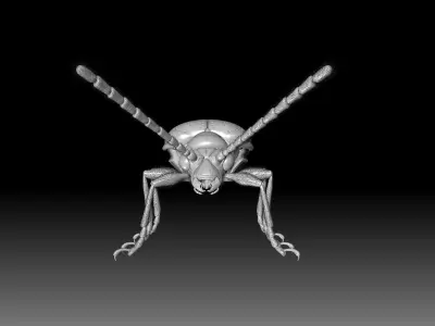Scarlet Lily Beetle sculpt 3D model