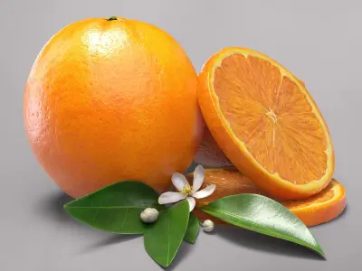 Oranges 3D model