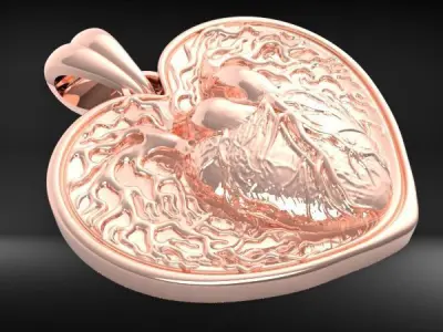 Human Heart pendant with bail  3D print model