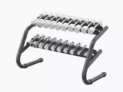 Technogym Chrome Dumbbells 3D model