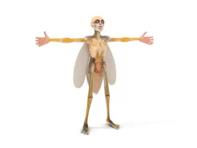 Insectoid Hybrid model pack Low-poly 3D model