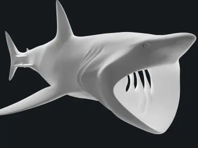 Lowpoly Basking Shark Low-poly 3D model