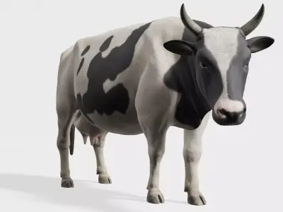 cow 3d model with realistic texture Low-poly 3D model