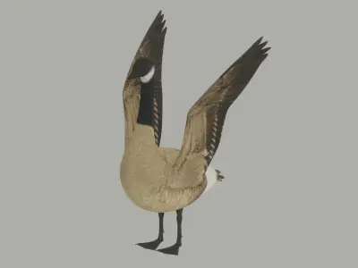 Goose 3D model purchase