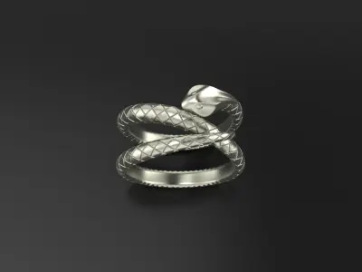 Ring snake 3D print model