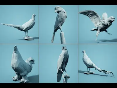 Low Poly bird Collection Low-poly 3D model
