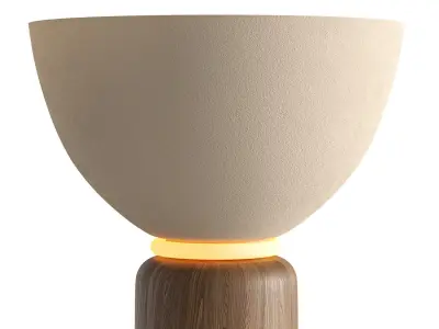 Ficupala Table Lamp by Radilum 3D model