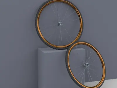 Bicycle Rim With Tire Off-road  3D model