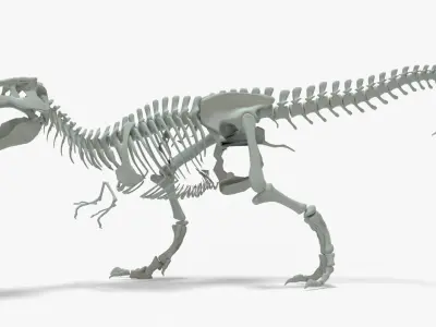 Tyrannosaurus Rex Rigged Skeleton Low-poly 3D model
