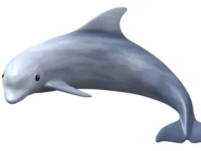 Dolphin Low-poly 3D model shop